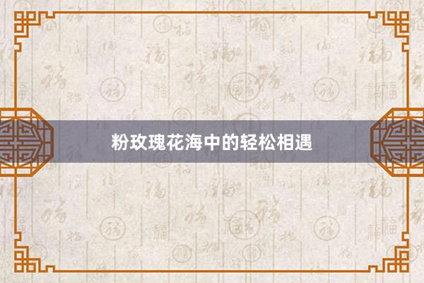粉玫瑰花海中的轻松相遇